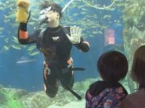 ウツボのすぐ上でこすり洗い…水族館で年末恒例の潜水大掃除 大水槽に溜まったコケなどの汚れを取り除く