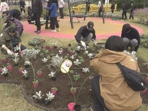 パンジーやシロタエギク等…愛知県長久手市のモリコロパークに1000本余りの花の苗 NTPグループから贈られる