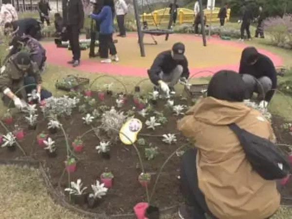 パンジーやシロタエギク等…愛知県長久手市のモリコロパークに1000本余りの花の苗 NTPグループから贈られる