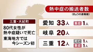 「畑で倒れている」と家族から通報…熱中症とみられる80代女性 意識不明の状態で搬送も死亡 三重県大紀町