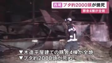 ブタ約2000匹が死ぬ…養豚場で豚舎4棟が全焼する火事 暖房設備の漏電が出火原因の可能性も