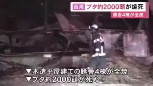 ブタ約2000匹が死ぬ…養豚場で豚舎4棟が全焼する火事 暖房設備の漏電が出火原因の可能性も