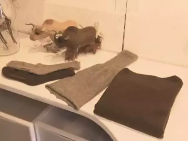 “ポストカシミヤ”と世界が注目…『ヤク100％』のレア商品を扱うモンゴル専門衣料品店 マイナス30度の極寒にも