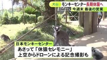 18日には休“猿”セレモニー…世界最多のサルを飼育する「日本モンキーセンター」リニューアルで長期休園へ