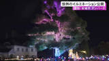 「樹木や花壇に約30万個のLED電球…愛知県安城市『デンパーク』の冬のイルミネーション 11/21から1/12まで」の画像1