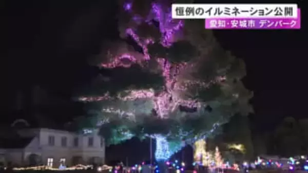 樹木や花壇に約30万個のLED電球…愛知県安城市『デンパーク』の冬のイルミネーション 11/21から1/12まで