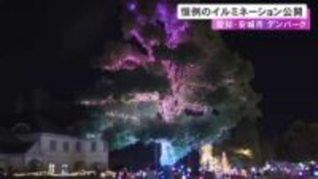 樹木や花壇に約30万個のLED電球…愛知県安城市『デンパーク』の冬のイルミネーション 11/21から1/12まで