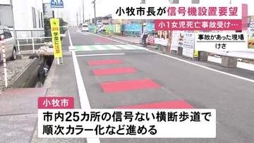 横断歩道で小学1年の女の子が死亡…事故現場となった交差点への信号機設置などを市が警察に要望 愛知県小牧市