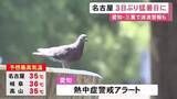 「午前11時までに新城で34.1度…5日は愛知県に熱中症警戒アラート 名古屋では3日ぶりの猛暑日となる見込み」の画像1