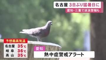 午前11時までに新城で34.1度…5日は愛知県に熱中症警戒アラート 名古屋では3日ぶりの猛暑日となる見込み