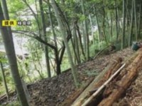 がけ崩れの恐れある急斜面で無許可で石の採掘続けたか “急傾斜地法違反”の疑いで県が70代男性を刑事告発