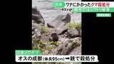 「シカ捕獲用のワナに…岐阜県大垣市でツキノワグマ1頭を駆除 体長95cmのオスの成獣で現場近くに住宅地」の画像1
