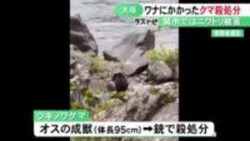 シカ捕獲用のワナに…岐阜県大垣市でツキノワグマ1頭を駆除 体長95cmのオスの成獣で現場近くに住宅地