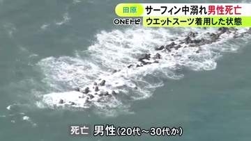 サーファーの人気スポット…海岸で20～30代とみられるウェットスーツ姿の男性が溺れる 近くの人が救助も搬送先で死亡
