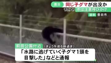 20日と同一個体か…愛知県豊田市でまたツキノワグマの子どもの目撃情報 体長60cm程でフェンスよじ登る