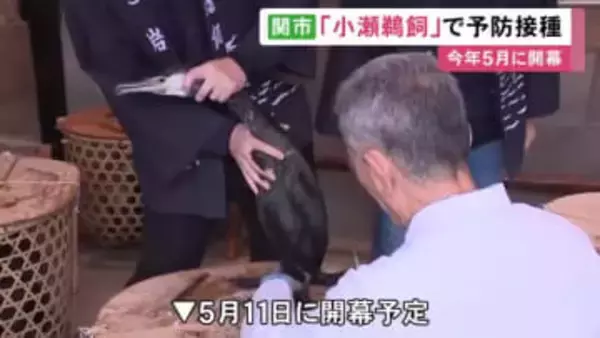 5/11開幕…岐阜県関市の「小瀬鵜飼」に向けて鵜の予防接種 呼吸器の異常など起こすニューカッスル病防ぐ