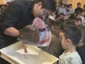 命をいただくことの大切さ学ぶ…幼稚園で本マグロの解体ショー 手際よくさばかれた後は園児たち全員の給食に