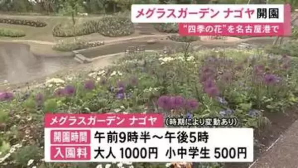 閉園した植物園をリニューアル…名古屋港に庭園施設『メグラスガーデンナゴヤ』オープン 今の時期はアネモネ等の春の花