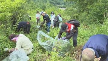北米原産で繁殖力強く…特定外来生物『オオハンゴンソウ』の駆除作業 国定公園に指定された御嶽山の麓で