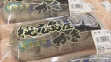育てたうち約9割が死滅…広島の養殖カキ“大量死”で店頭は高値 鳥羽では前年比3倍程の収獲見込みもカバー難しく