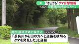 「「道路を横切るクマ発見」岐阜県関市で11日もクマの目撃情報 市が猟友会と共にパトロール行うも発見に至らず」の画像1