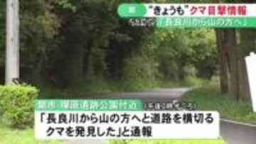 「道路を横切るクマ発見」岐阜県関市で11日もクマの目撃情報 市が猟友会と共にパトロール行うも発見に至らず