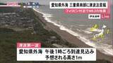 「愛知県外海・三重県南部などに津波注意報 フィリピン付近でM8.2の地震」の画像1