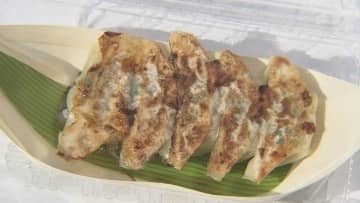 全国から30店舗が集結…「全日本ぎょうざ祭り」始まる 愛知県長久手市のモリコロパークで23日まで開催