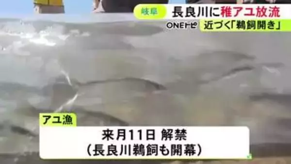5/11の漁解禁と鵜飼開きを前に…岐阜市の長良川で稚アユ約2万匹を放流 神事では豊漁と漁の安全を祈願