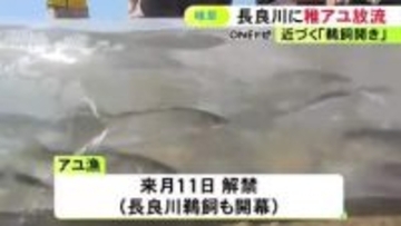 5/11の漁解禁と鵜飼開きを前に…岐阜市の長良川で稚アユ約2万匹を放流 神事では豊漁と漁の安全を祈願