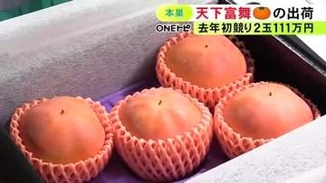 去年の初競りでは最高2玉111万円…岐阜県産の高級ブランド柿「天下富舞」出荷始まる 例年以上の大玉で糖度も十分