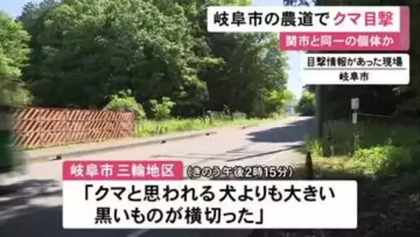 同一個体が移動の可能性も…クマの目撃相次ぐ岐阜県関市に近い岐阜市の農道で「大きい黒いものが横切った」