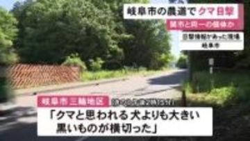 同一個体が移動の可能性も…クマの目撃相次ぐ岐阜県関市に近い岐阜市の農道で「大きい黒いものが横切った」