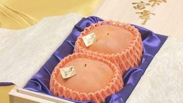 糖度は25度超も…岐阜県産の高級ブランド柿「天下富舞」最高ランクの“天下人”が初競りで2個111万円の値