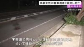県道を歩いて横断しようとしていた79歳女性 20歳男性が運転する車にはねられ死亡 片側一車線の緩いカーブ