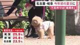 「午前中から東海3県で25度以上の所も…16日の名古屋や岐阜は今年初の“夏日”の予想 いずれも6月上旬並み」の画像1