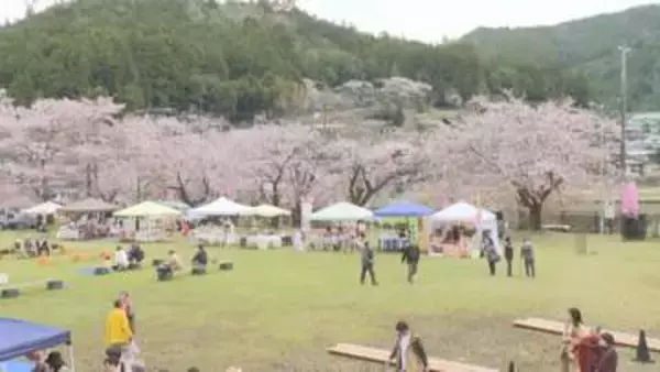 1000本以上が並ぶ名所…三重県熊野市の神川町でさくら祭り『桜覧会』地元の太鼓グループが演奏を披露