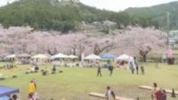 1000本以上が並ぶ名所…三重県熊野市の神川町でさくら祭り『桜覧会』地元の太鼓グループが演奏を披露