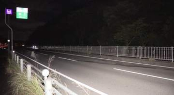 路上に死んだ飼い犬が…いなくなった犬を探していた22歳大学生が車にはねられ意識不明の重体 国道でトラックから車外へ