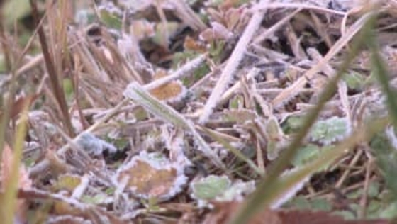 名古屋はこの冬初の氷点下に…今季最強寒気の影響 27日の東海3県は各地で真冬並みの寒さに