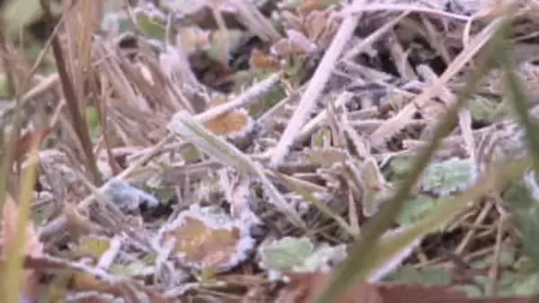 名古屋はこの冬初の氷点下に…今季最強寒気の影響 27日の東海3県は各地で真冬並みの寒さに