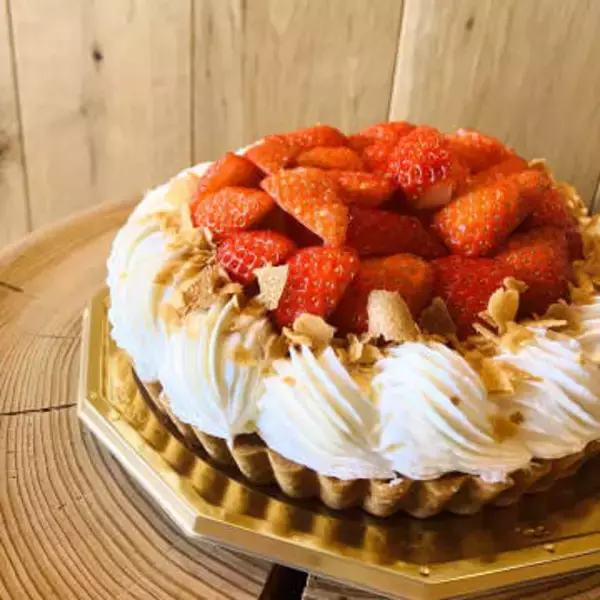 旬のフルーツを主役にしたケーキと焼菓子…イートインも充実の久屋大通駅近くで朝から楽しめる新ケーキ店