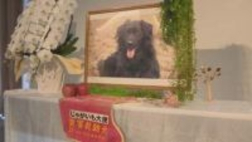 東日本大震災で福島から岐阜へ…被災地を元気づけた災害救助犬「じゃがいも」2月に天国へと旅立ちお別れ会開かれる