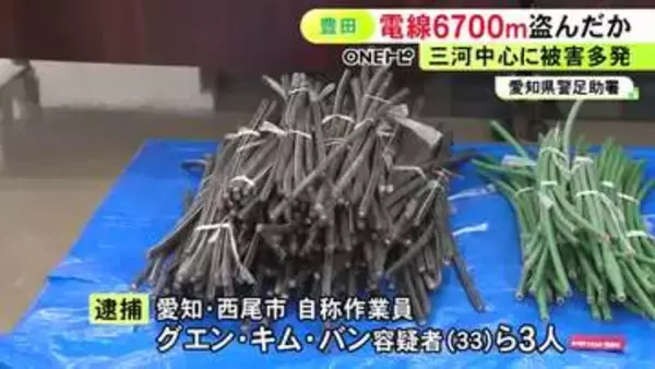 太陽光発電所から約6700m分の電線を盗んだ疑い ベトナム国籍の男3人を逮捕 愛知県三河地方で同様被害相次ぐ