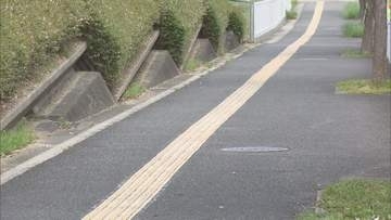 歩道で自転車に乗っていた男子高校生と歩行者の70代位の男性が衝突 男性が後頭部など強く打ち意識不明の重体