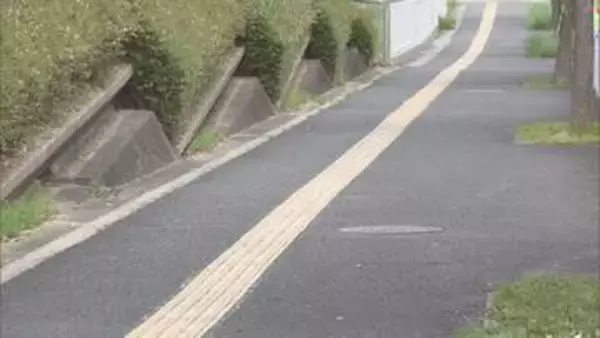 歩道で自転車に乗っていた男子高校生と歩行者の70代位の男性が衝突 男性が後頭部など強く打ち意識不明の重体