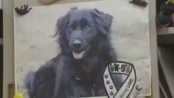 被災地で生まれ11回目で合格…災害救助犬「じゃがいも」震災から15年を前に天国へ “後輩犬”が受け継ぐ思い