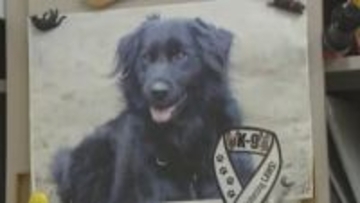 被災地で生まれ11回目で合格…災害救助犬「じゃがいも」震災から15年を前に天国へ “後輩犬”が受け継ぐ思い