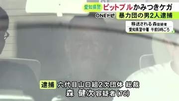 「絶対咬まないよ」2歳の男の子等に飼い犬の“ピットブル”を触らせてケガさせ届け出なかった疑い 山口組二次団体の総裁ら逮捕