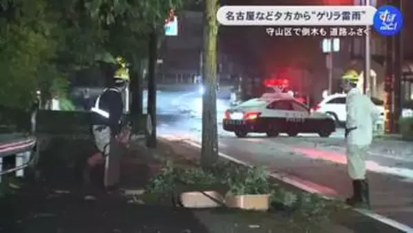 名古屋では倒木が道を塞いだ所も…愛知と岐阜の各地で一時『ゲリラ豪雨』恵那市では1時間に61.5ミリの非常に激しい雨を観測